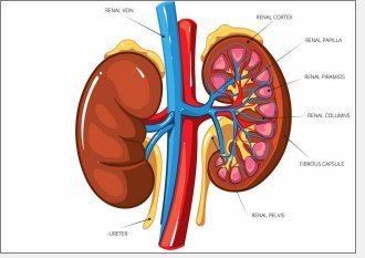 kidney problem treatment